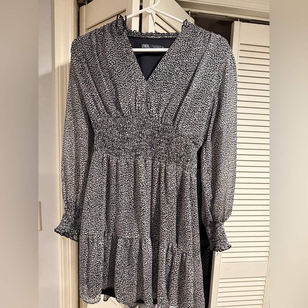 Zara Cheetah Long Sleeve Dress